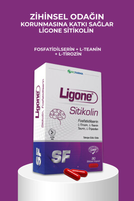 Ligone Sitikolin Fosfatidilserin Bitkisel Kapsül 30 Kapsül - 2